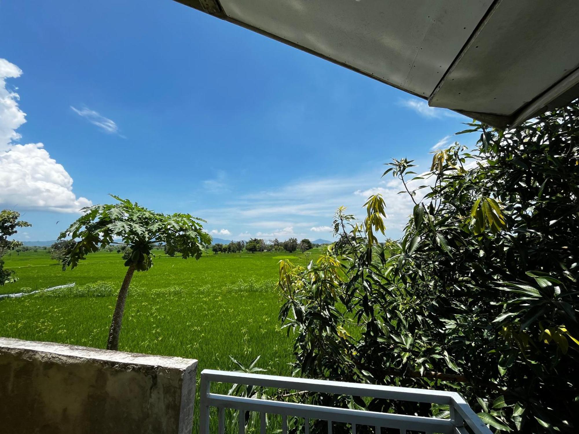 Alan'S Homestay Kuripan エクステリア 写真
